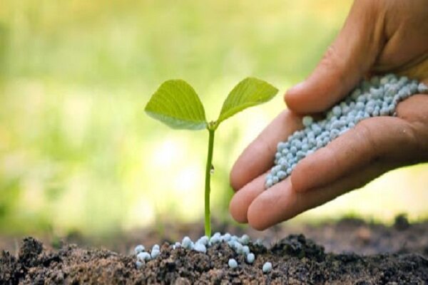 کشاورزان هرسینی برای دریافت کود در سامانه ثبت نام کنند