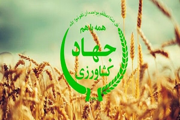 ۲ مدیر جهاد کشاورزی کرمانشاه برکنار شدند