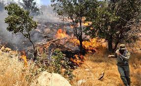 حریق به ۵۸ هکتار از منابع طبیعی کرمانشاه دست درازی کرد