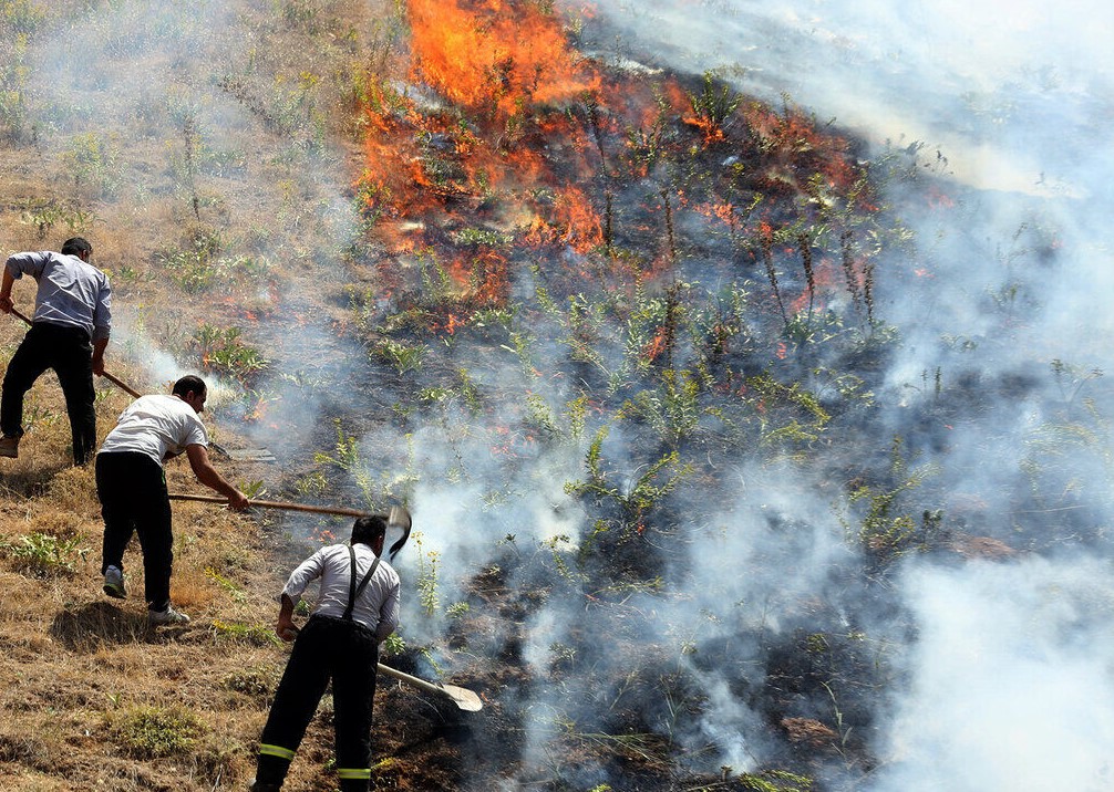 آتش سوزی جنگل ها و مراتع شهرستان پلدختر مهار شد