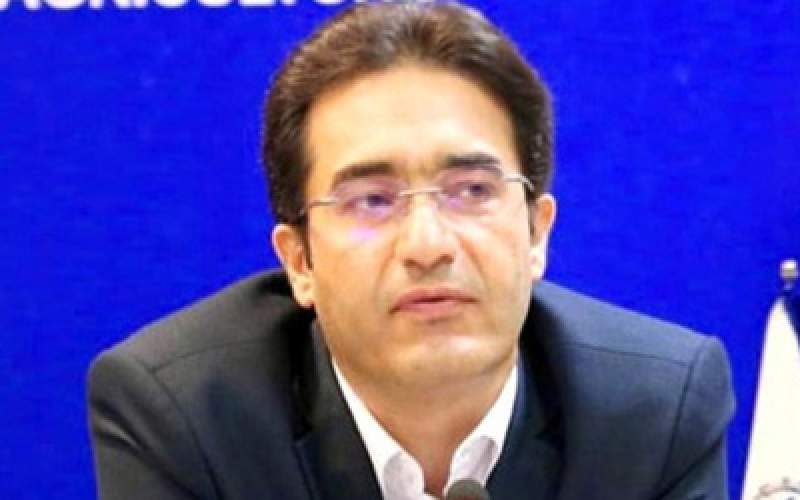 ترخیص ۵میلیارد دلار کالای‌اساسی از ابتدای سال