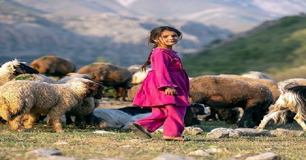 برگزاری جشنواره «طعم کتاب با عشایر» در پلدختر