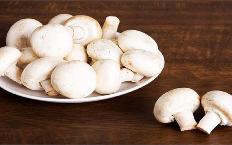 قیمت هر کیلو قارچ ۴۰ هزار تومان شد