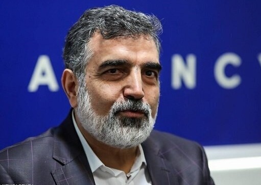 کمالوندی: قانون هستهای مجلس فرصت ارزشمند برای سازمان انرژی است کمالوندی: قانون هستهای مجلس فرصت ارزشمند برای سازمان انرژی است