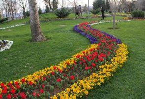 ضرورت توجه شهرداری به فضای سبز در محله‌ها
