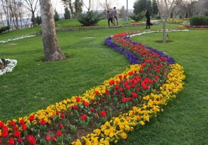 ضرورت توجه شهرداری به فضای سبز در محله‌ها