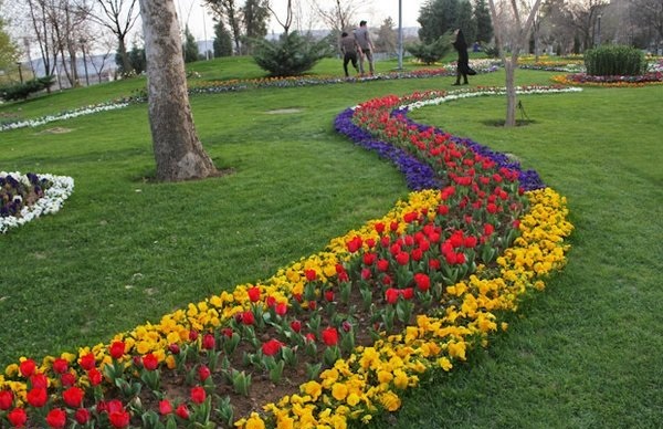 ضرورت توجه شهرداری به فضای سبز در محله‌ها