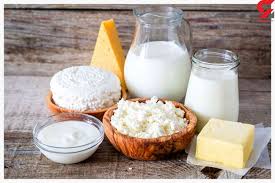 سرانه مصرف لبنیات شدیدا کاهش یافته است سرانه مصرف لبنیات شدیدا کاهش یافته است