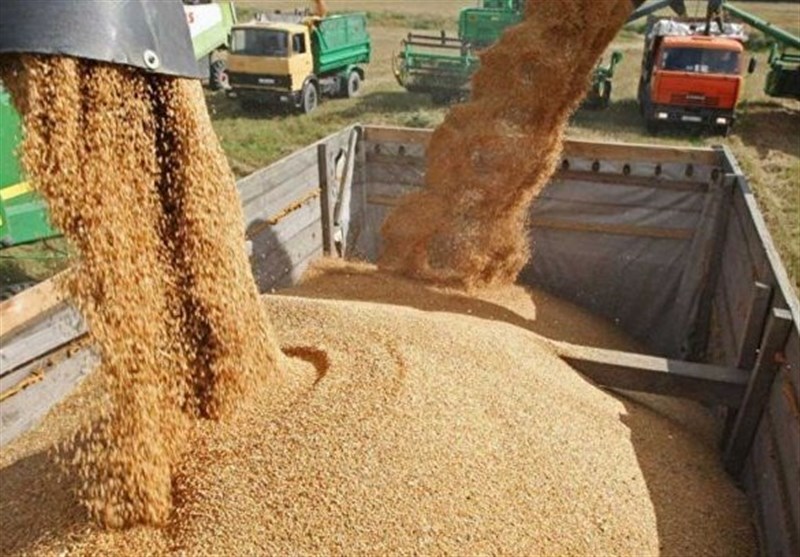 تأمین ارز ۴.۶ میلیارد دلاری برای واردات نهاده‌های دامی