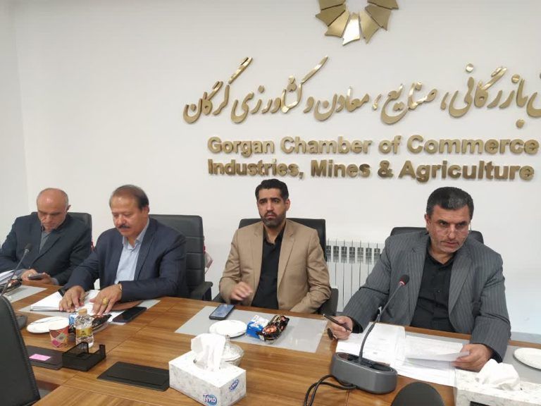 مدیرکل صمت گلستان خبر داد :  مشکلات ۶ واحد‌ تولیدی گلستان در یازدهمین جلسه کارگروه تسهیل استان رسیدگی شد