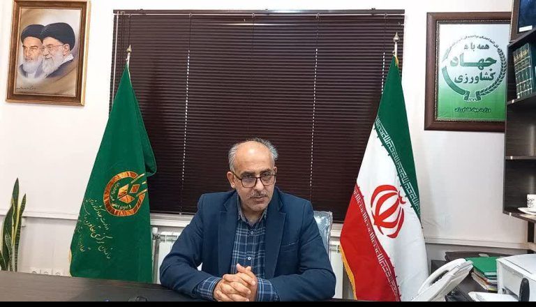 خرید حمایتی و توافقی ۶ هزار و ۸۰۰ تن سیب زمینی از کشاورزان گلستان