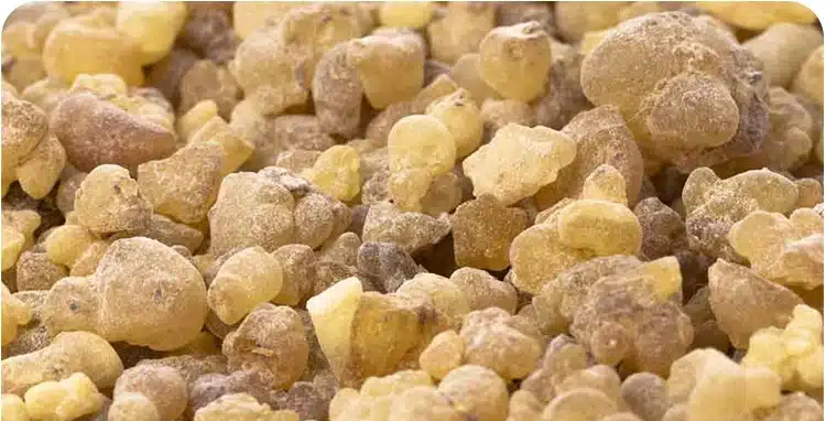 با خواص کندر آشنا شویم