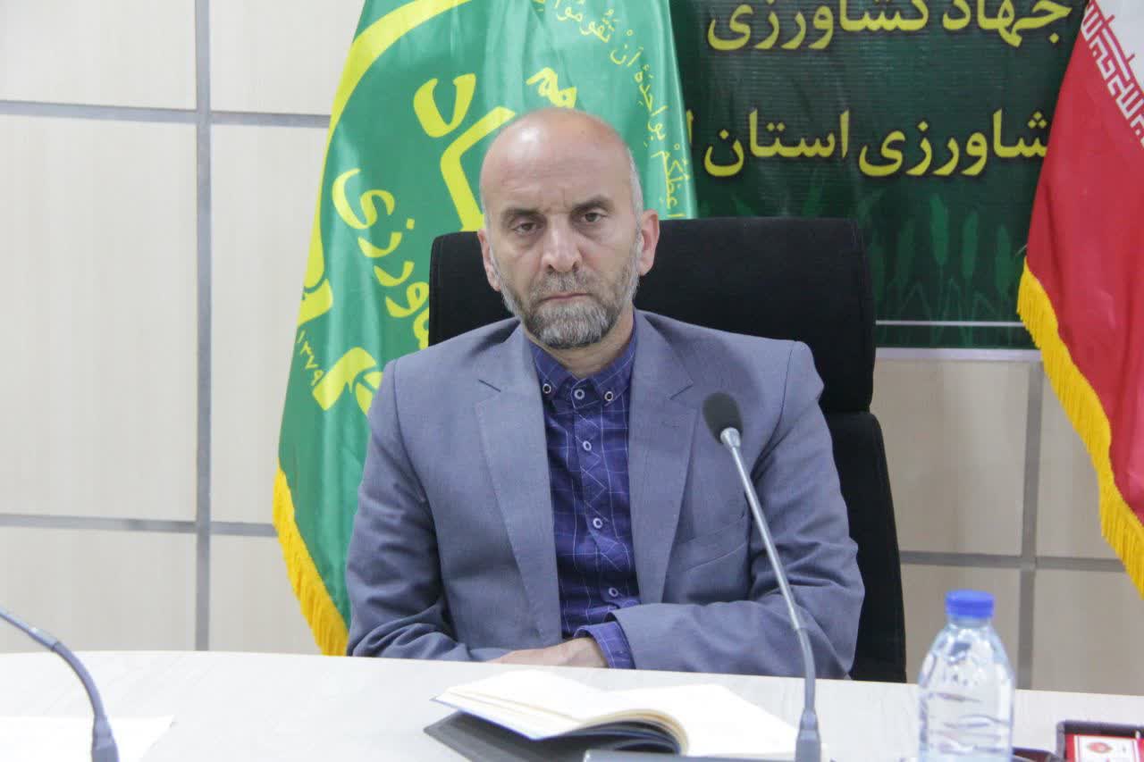 در دیمزار‌های استان به دنبال افزایش بهره وری هستیم