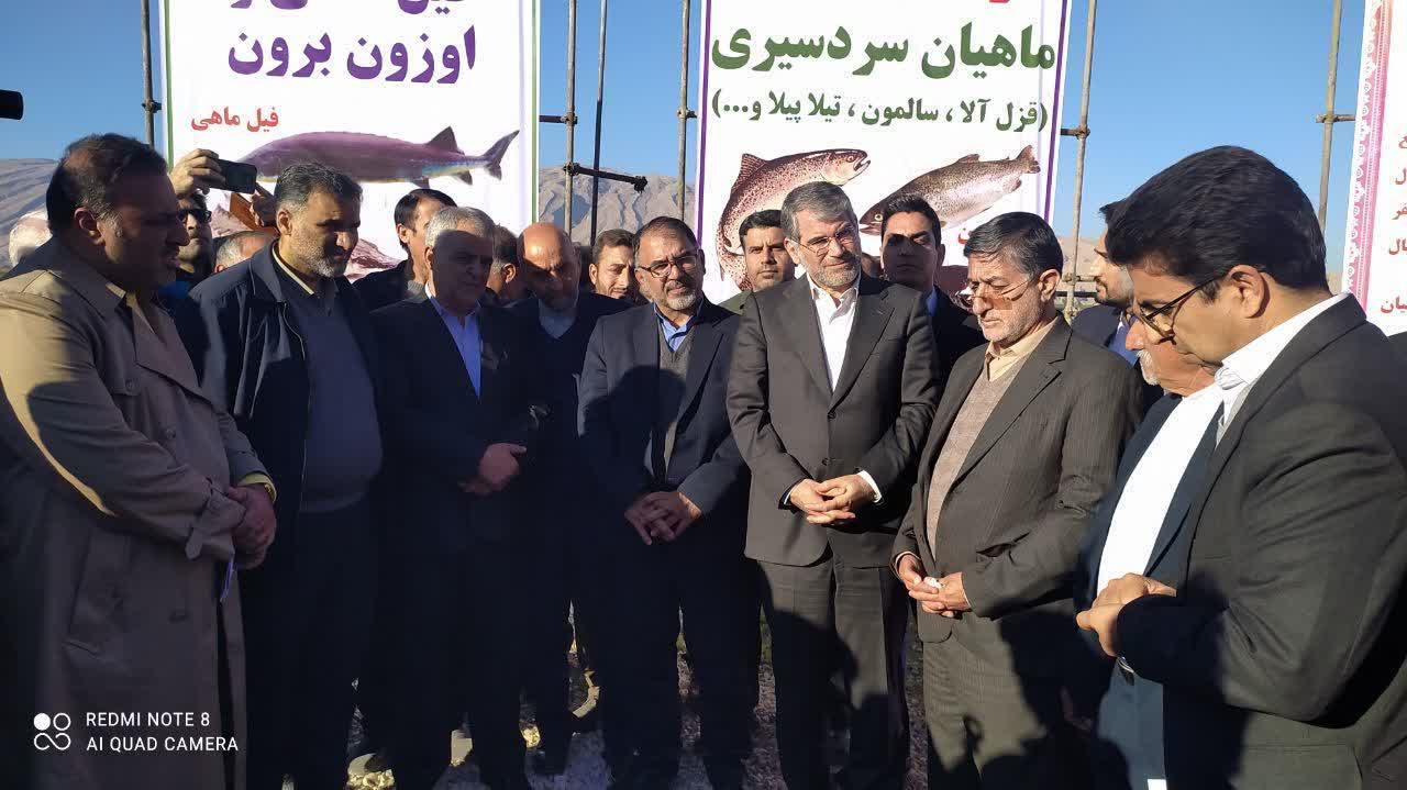 لرستان یک قطب مهم در شیلات/ سهمیه خوبی را به شیلات لرستان اختصاص می‌دهیم